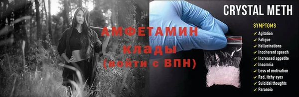 PSILOCYBIN Гусиноозёрск