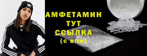 PSILOCYBIN Гусиноозёрск