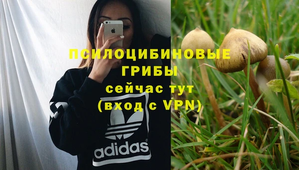 прущая мука Гусев