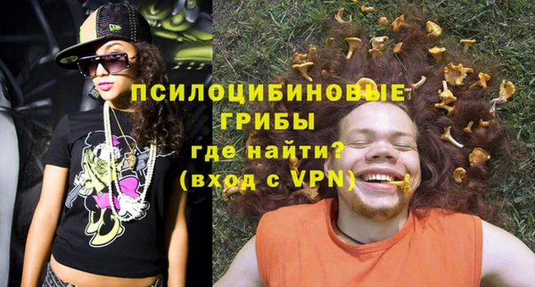 PSILOCYBIN Гусиноозёрск