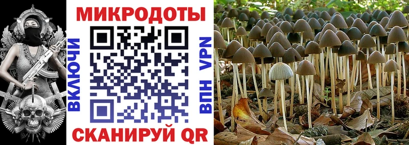 Псилоцибиновые грибы MAGIC MUSHROOMS  Купить закладки  Фёдоровский 